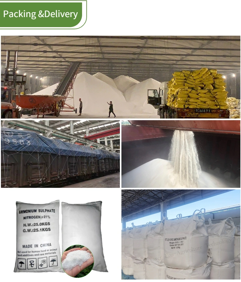 Competitive Price Ammonium Sulfate Top Grade Granular Ammonium Sulphate